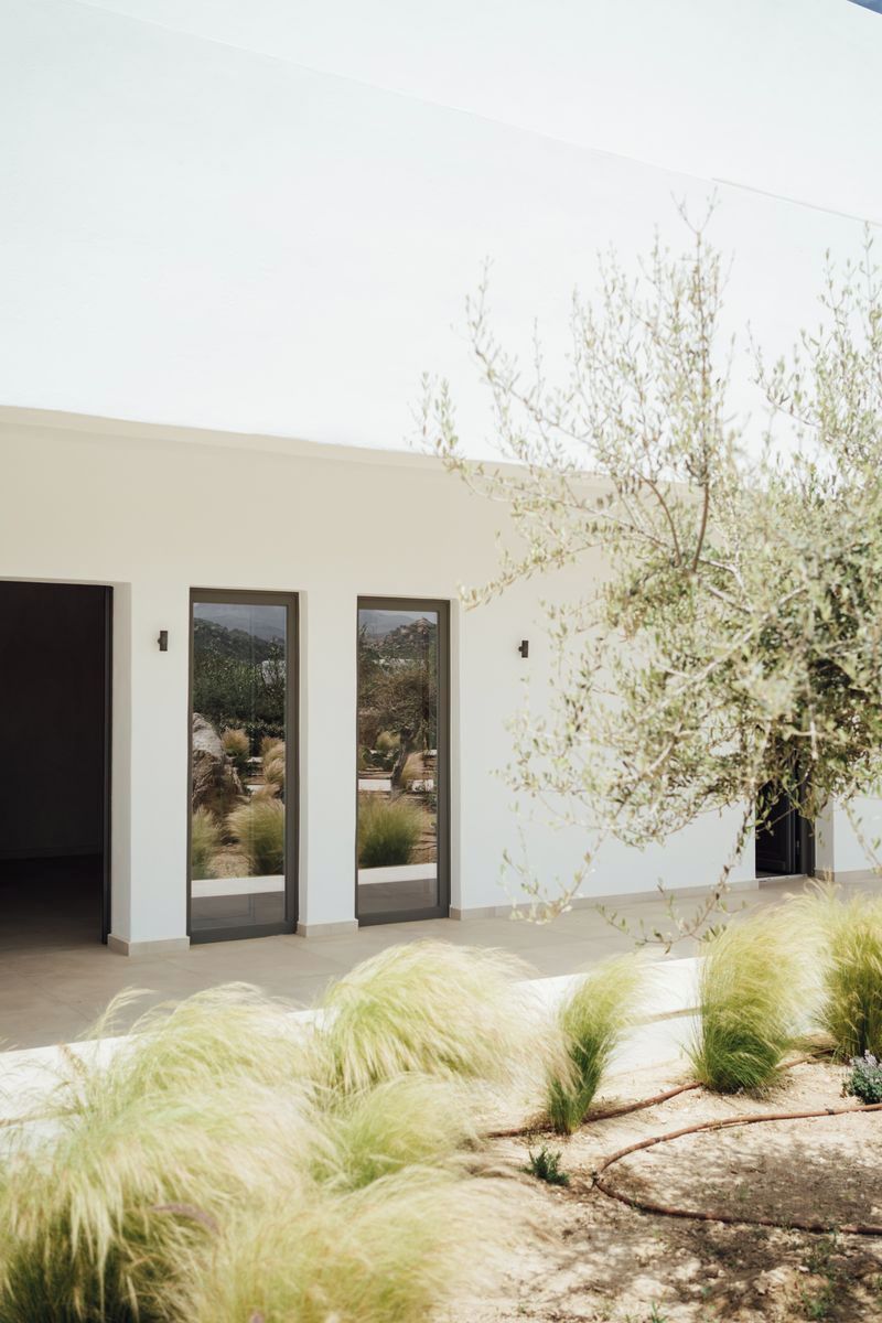 Un edificio moderno con tres puertas, un jardín ajardinado con hierbas altas y un árbol.