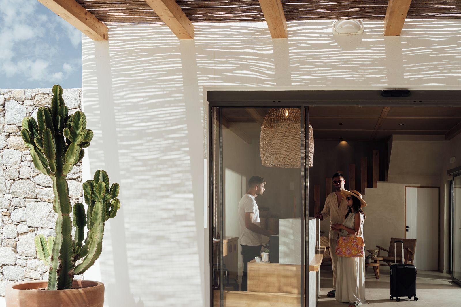 A modern hotel interior with a large cactus plant, a wooden ceiling, and a glass door leading to a reception area.