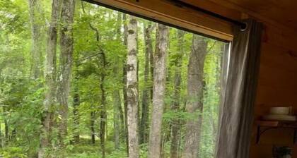 The Hot Tub Hideaway