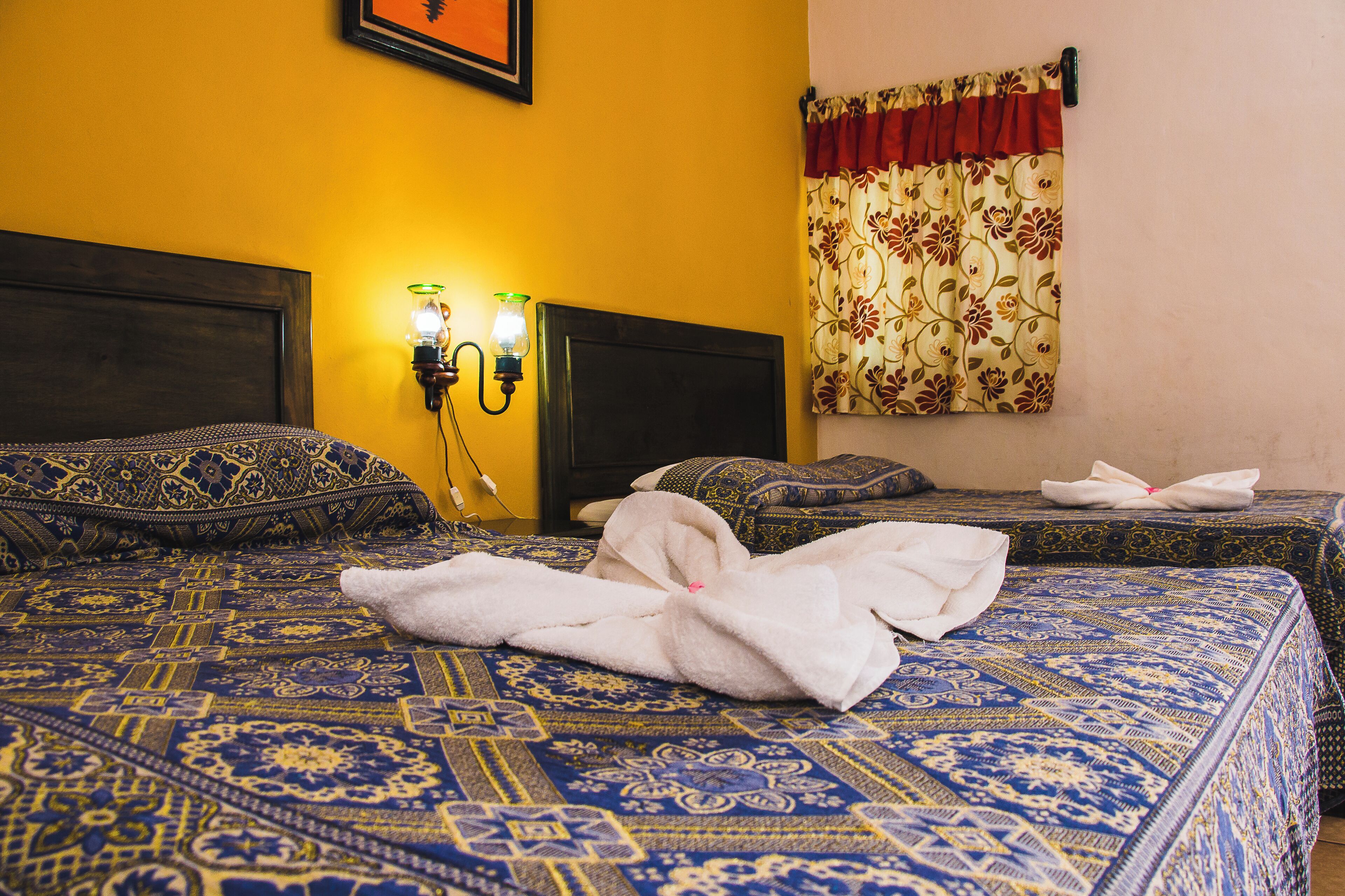 Foto - Hotel Rosalia