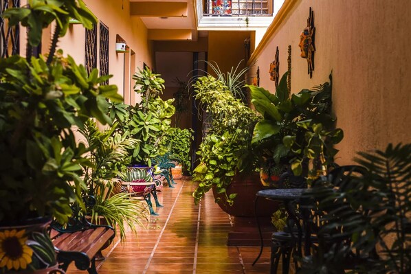 Interior - HOTEL ROSALIA (Valladolid)