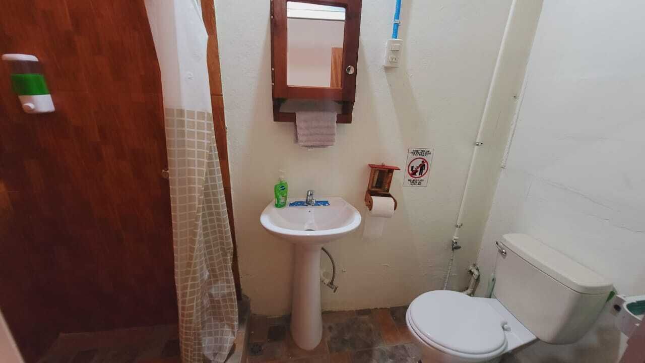 A small bathroom with a white sink, a mirror, a toilet, and a shower curtain.