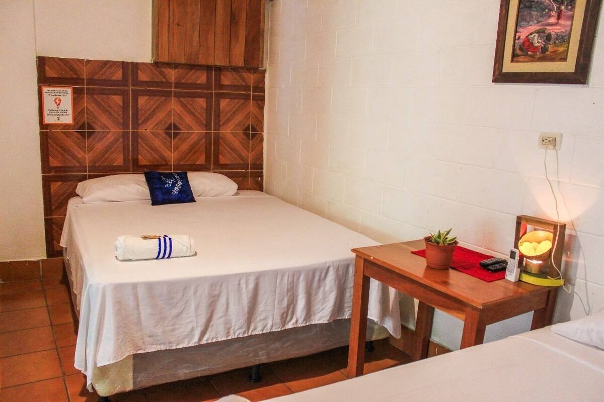 Un lit simple avec un drap blanc, une tête de lit en bois, une petite table de chevet avec une plante, une lampe et un tableau encadré au mur.