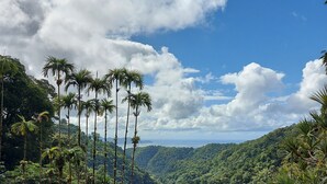 A lush landscape with tall palm trees, a pond, and a view of a green valley under a partly cloudy sky. - T2 de Charme, Résidence Avec Piscine à 500m de la Plage du Diamant (Le Diamant)