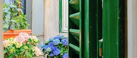 Detalle exterior
