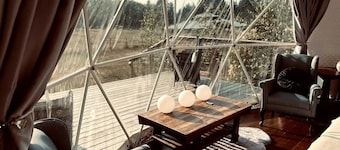Prancing Pony Glamping Dome at Shirewoods Farm