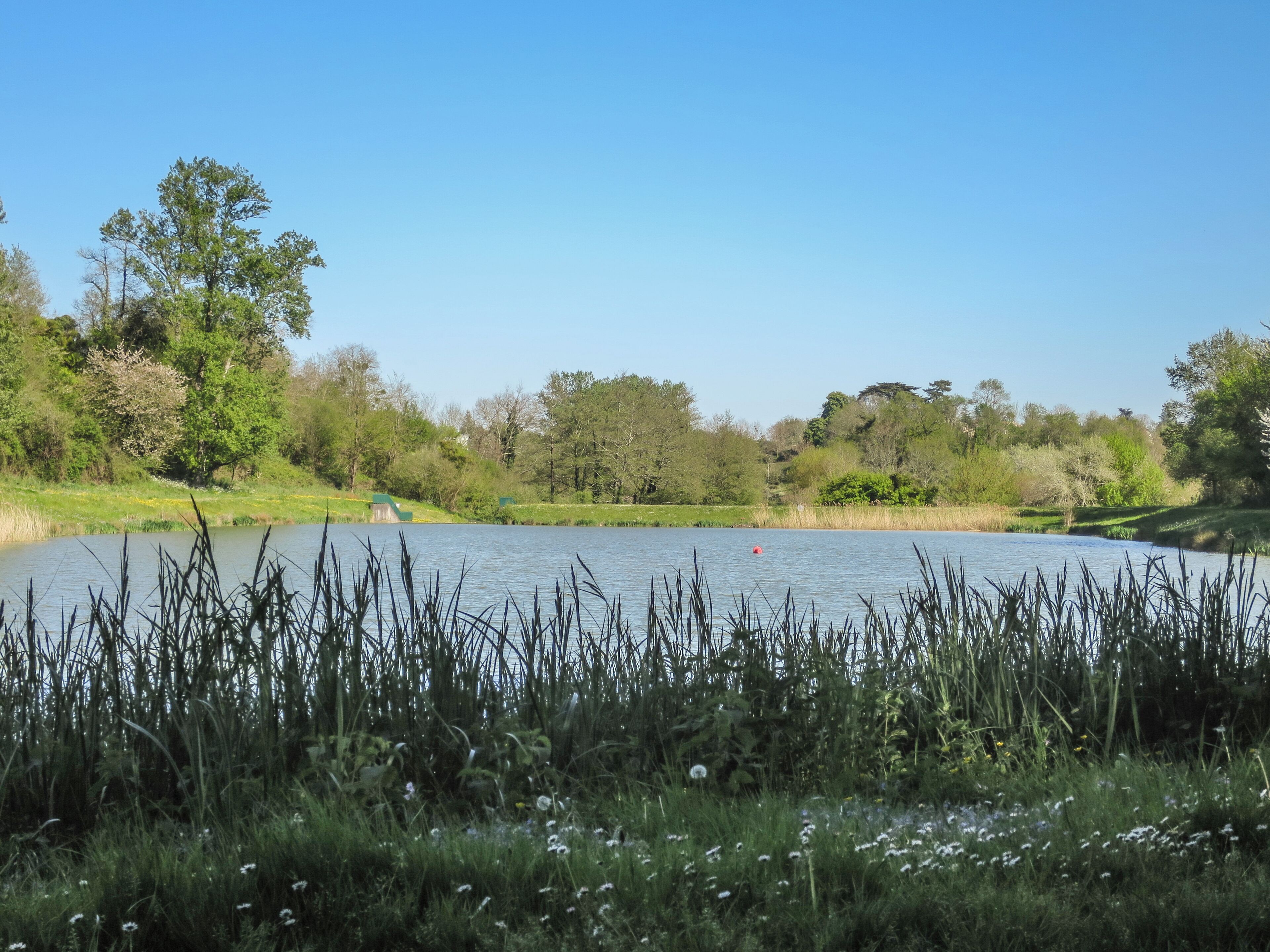 Um lago tranquilo rodeado por vegetação exuberante e árvores.