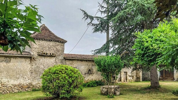A courtyard with a stone building, a small tree, and a bush.