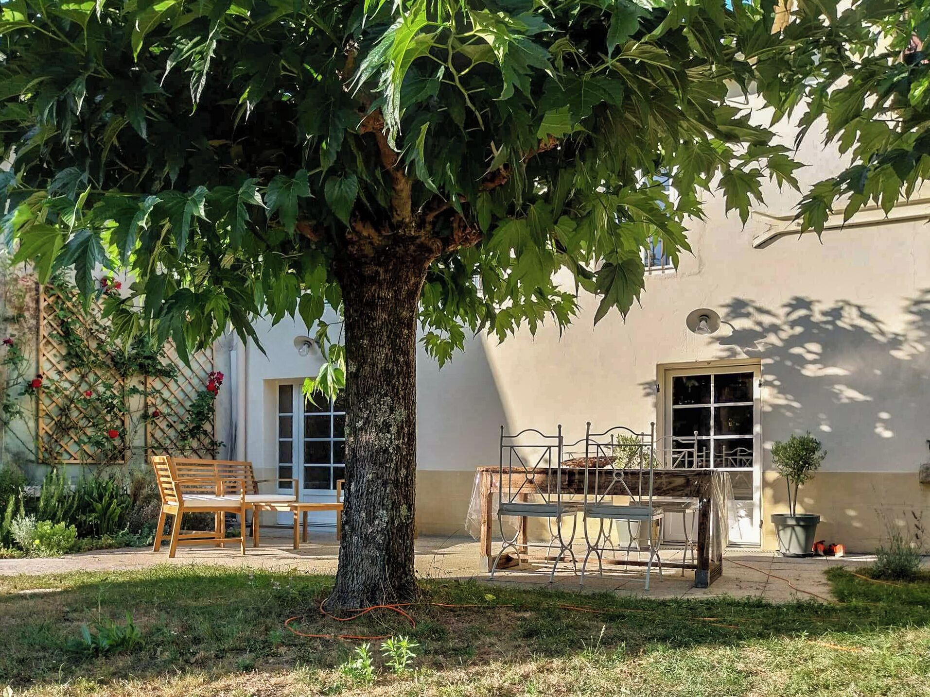 A tree-lined courtyard with a wooden bench and a metal table.