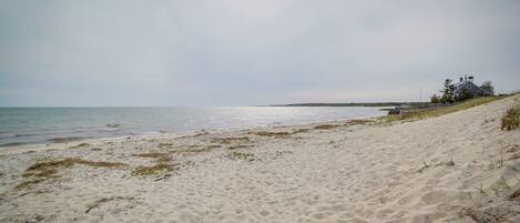 Nära stranden