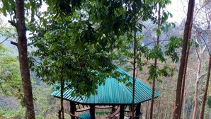 Un gazebo con tetto verde, circondato da alberi e un vialetto sterrato che vi conduce.