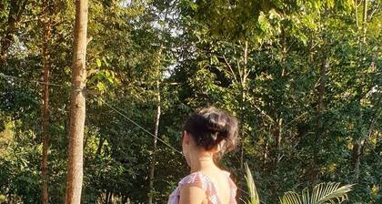 Tafelberg. Bungalow with Swimming Pool and balcony