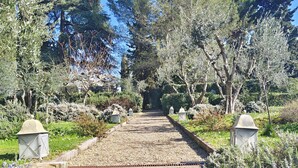 A stone pathway leading through a garden with steps, surrounded by various shrubs and trees.