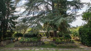 Parco della struttura