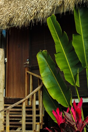 Udsigt fra værelset