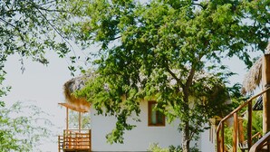 Uma trilha de madeira leva a um edifício branco com varanda, cercado por vegetação exuberante e vista para a praia.