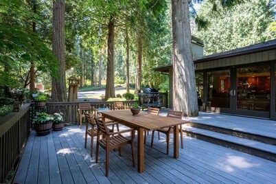 Bridle Trails Treehouse