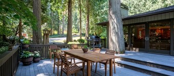Bridle Trails Treehouse