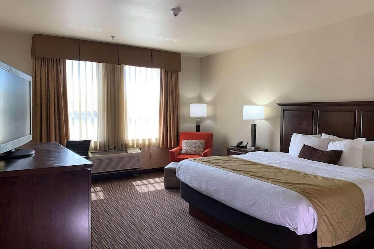 A hotel room with a bed, a desk, a chair, a TV, and a window with curtains.