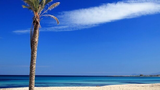 A clear blue sky, a sandy beach, and a palm tree. - Palma Gaia by Interhome (San Vito lo Capo)