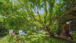 Un exuberante jardín con diversas plantas y árboles, un espacio de descanso con sillones reclinables y un edificio rústico con techo de paja.