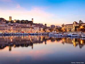 Une vue sur la ville, avec ses bâtiments historiques, son port de plaisance rempli de bateaux et un ciel dégagé.