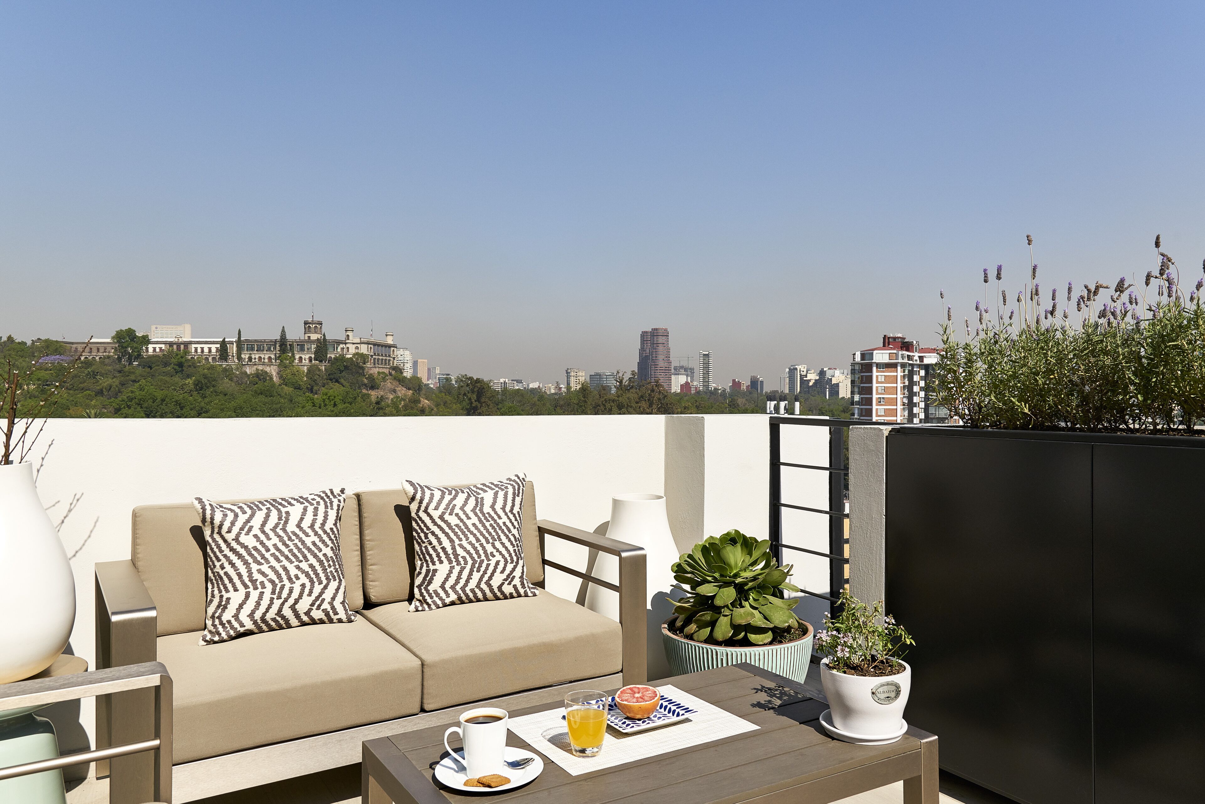 Área da propriedade