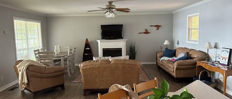 Smart TV, fireplace, books