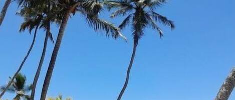 Sulla spiaggia