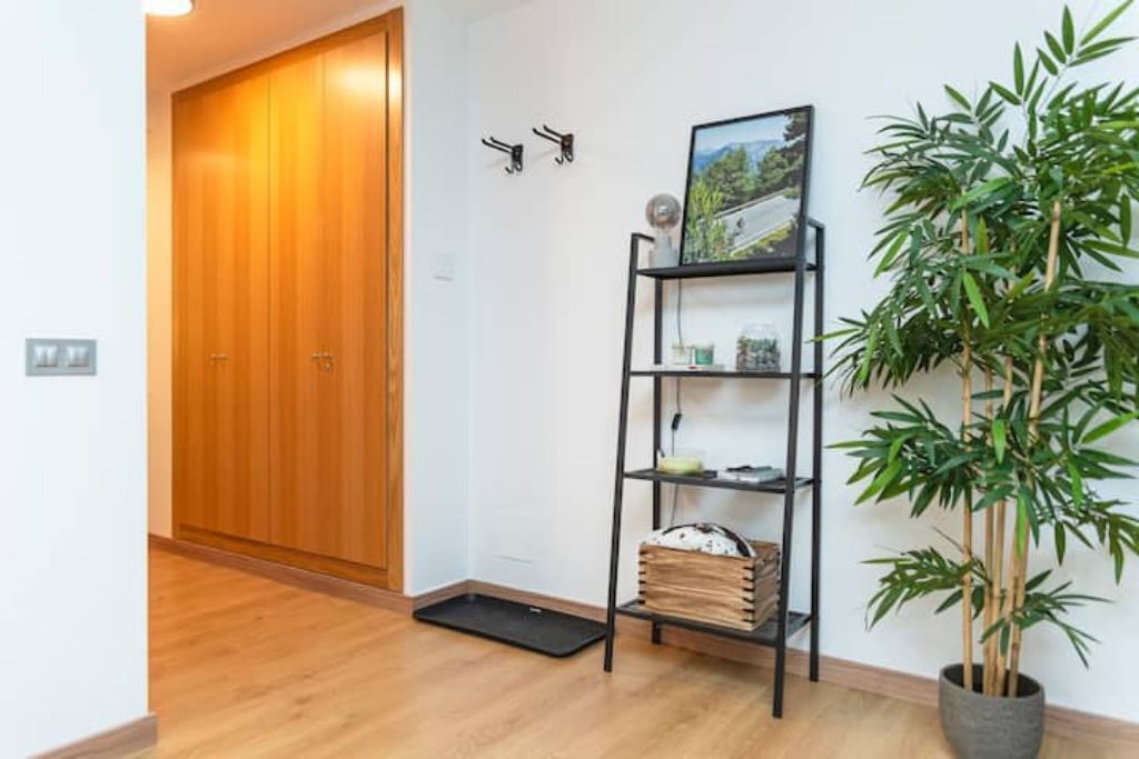 Un couloir avec une porte en bois, une étagère en métal noir sur laquelle sont posés divers objets, et un pot contenant une plante de bambou.