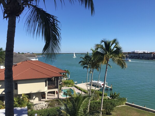 Enjoy ocean views from the hotel's outdoor pool area surrounded by a lush garden with palm trees and a marina nearby.