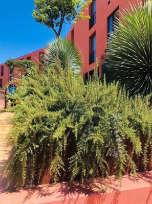 Área da propriedade