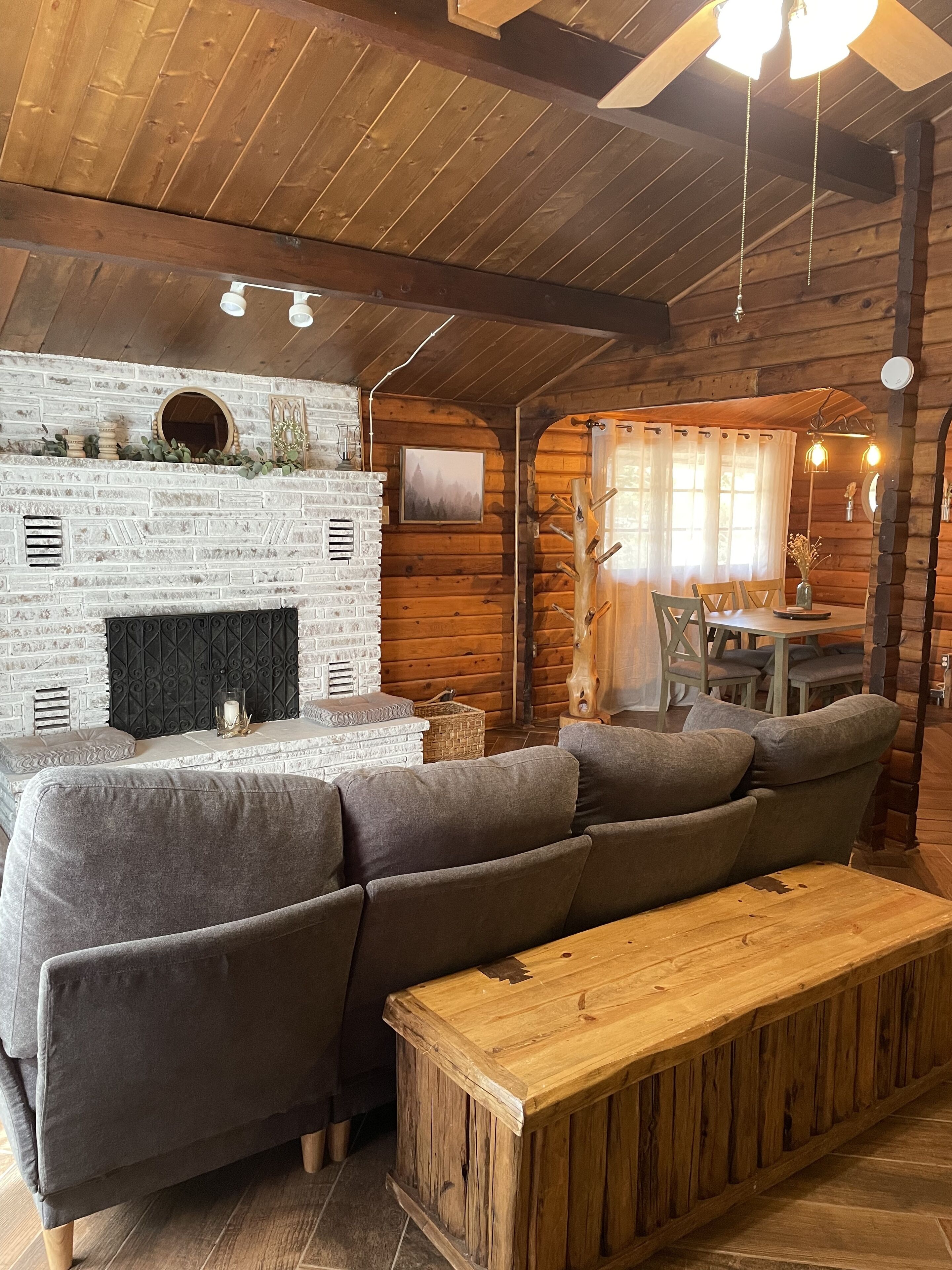 Televisión, chimenea y videojuegos 