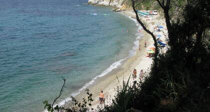 Sea Breeze