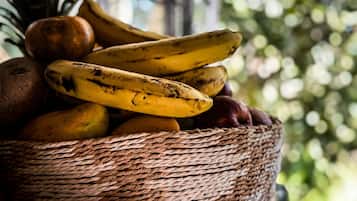 Alimentos y bebidas