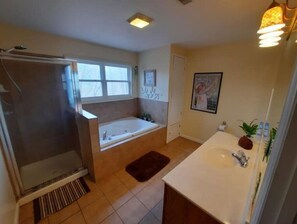 Hair dryer, towels, soap, toilet paper - The Durr house at Pea Level (Wetumpka)