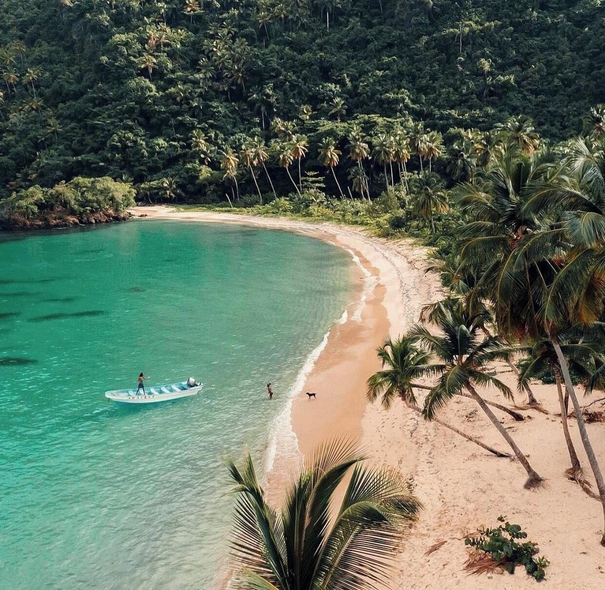 Una playa con aguas turquesas cristalinas, una orilla arenosa y palmeras.