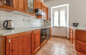 Fridge, stovetop, dishwasher