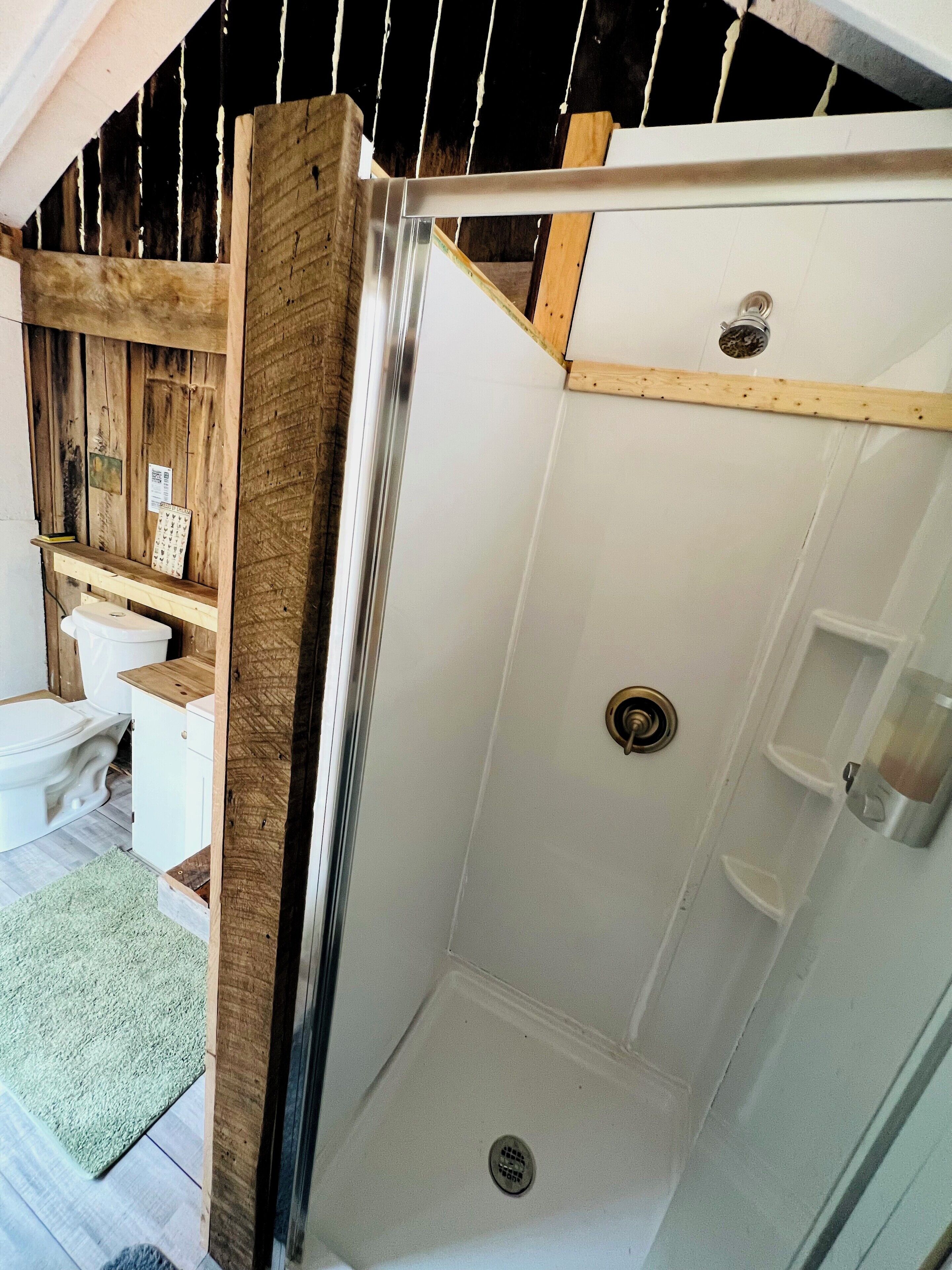 Shower, eco-friendly toiletries, hair dryer, towels