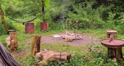 Whimsical Treehouse in the Woods of Walton, WV