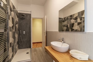 Shower, hair dryer, bidet, towels