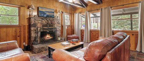 TV, fireplace, video games