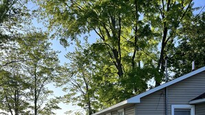 A single-story house with a pathway leading to the entrance, surrounded by trees and a body of water in the background.