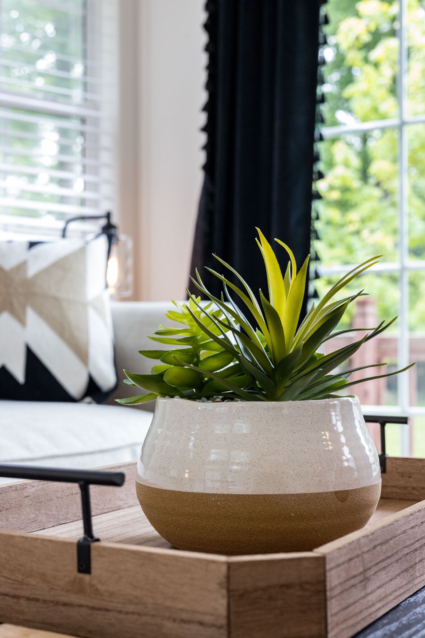 Una planta en maceta sobre una bandeja de madera en una habitación con ventana, un cojín con forma de estrella y una lámpara.