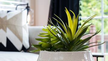 Una planta en maceta sobre una bandeja de madera en una habitación con ventana, un cojín con forma de estrella y una lámpara.