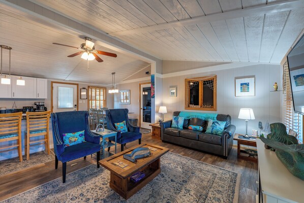 Smart TV, fireplace, books