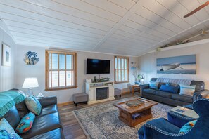 Smart TV, fireplace, books