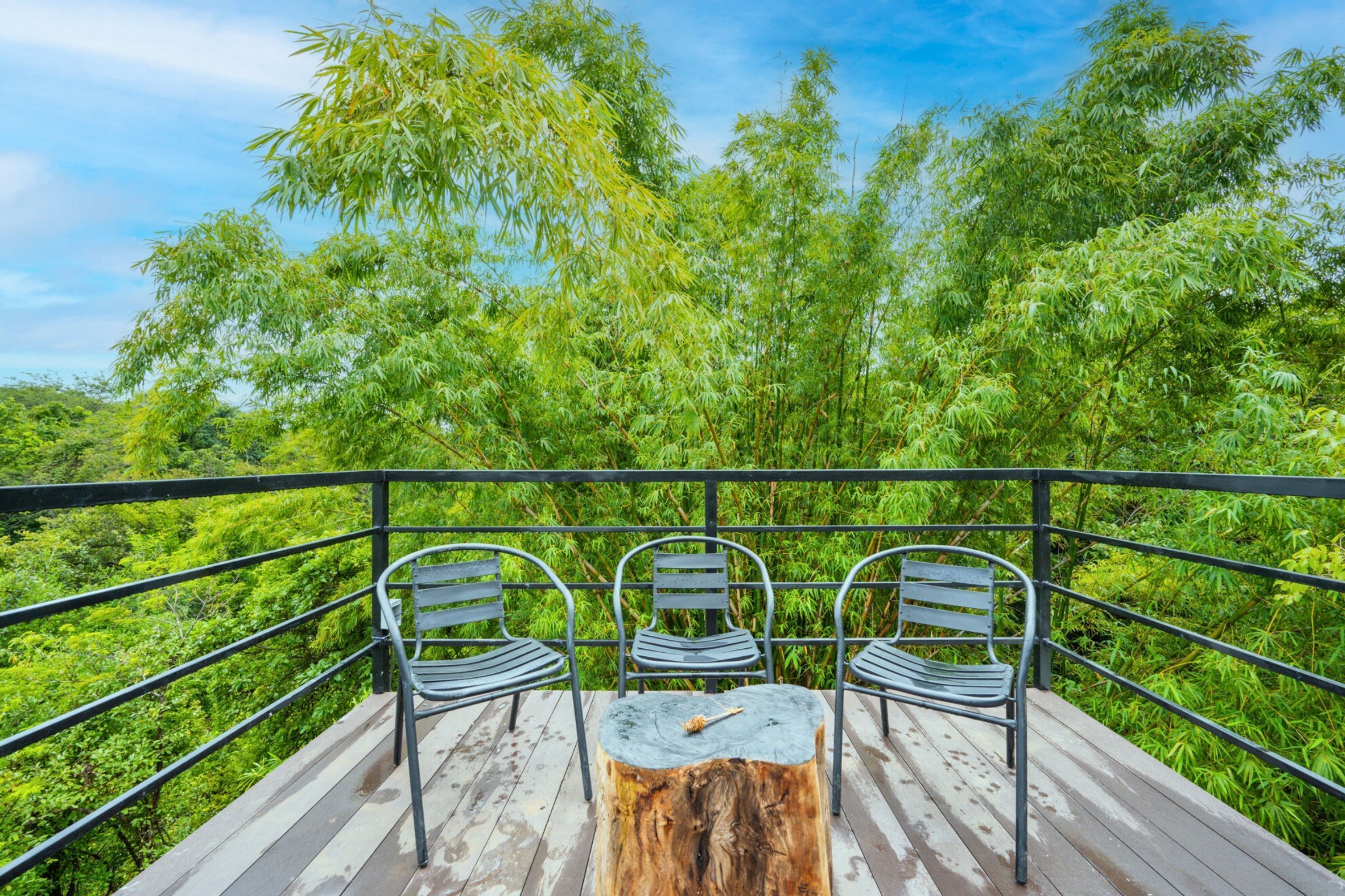 Casa Natura | Terrace/patio