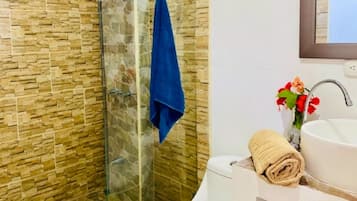 Ducha, cabezal de ducha tipo lluvia, secador de pelo, toallas