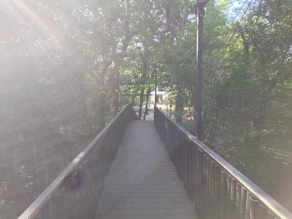 Terrace/patio - Antema Lodge (Tamarindo)